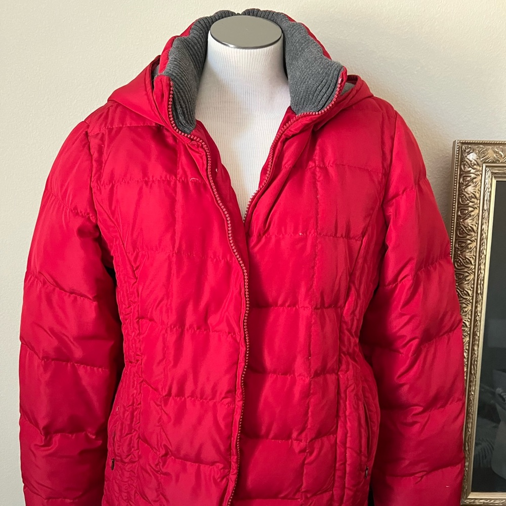 Red hooded Puffer